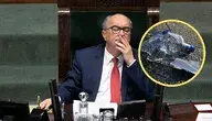 Projekt bez nazwy (74).webp