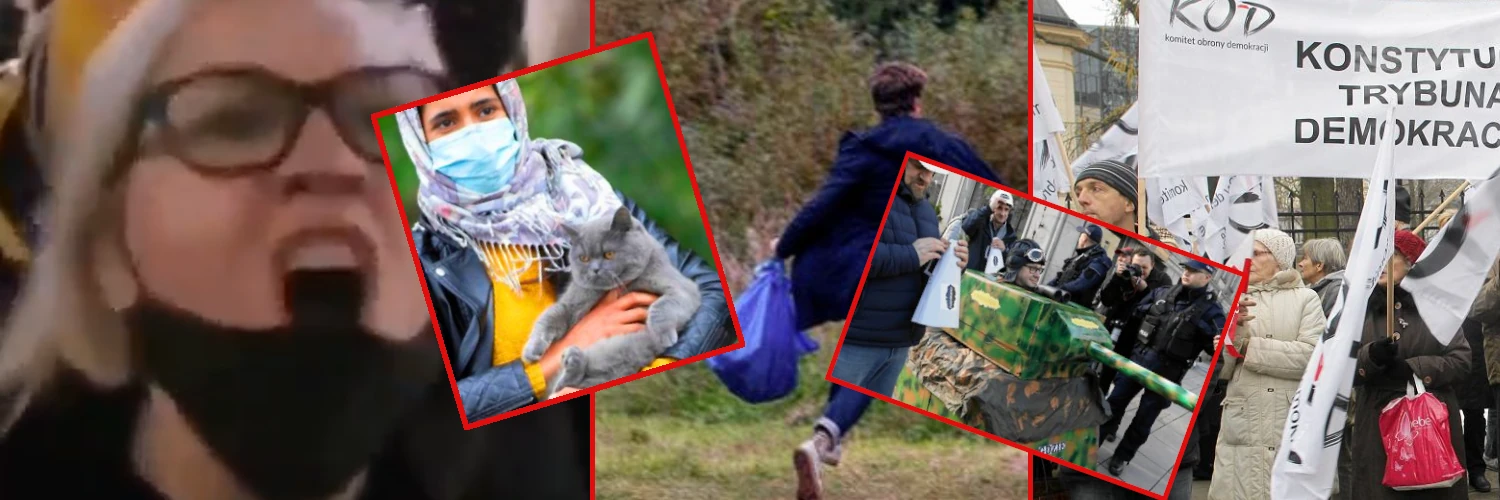 Śmiałeś się z kota z Afganistanu? Rządowi eksperci twierdzą, iż to było... prześladowanie opozycji