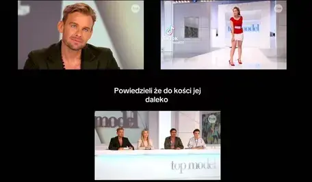 topomodel2.webp