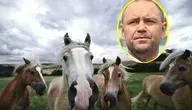 karolikonie.webp