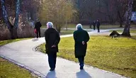 elderly-happy-4008796_1280.webp