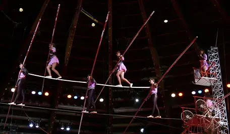 circus-95302_1280.webp