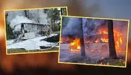 Projekt bez nazwy (81).webp