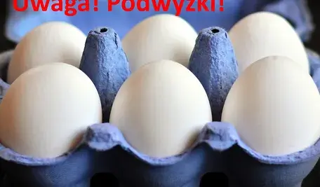 jajka.webp