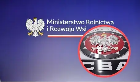 MRiRW ok.webp