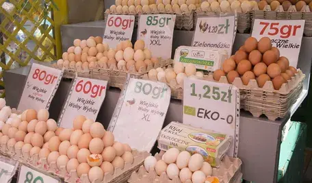 Decyzja Komisji Europejskiej o dopuszczeniu brazylijskich jaj na rynek UE, podjęta jeszcze przed ratyfikacją umowy Mercosur, budzi obawy producentów o brak kontroli jakości i ominięcie Parlamentu Europejskiego.