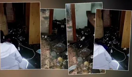 Z dwójki zwierząt błyskawicznie zrobiło się klikaset (