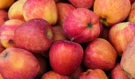 apples-8212695_1280 (1)