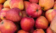 apples-8212695_1280 (1)