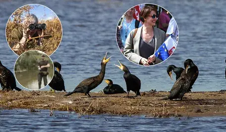 Na zdjęciu widać kormorany, wędkarzy, myśliwego i Maję Ostaszewską, która tym razem nie walczy o prawa zwierząt.