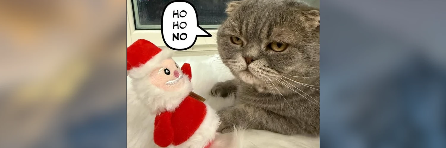 Kot ociepla wizerunek premiera. Internauci go pokochali