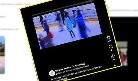 Kamery uchwyciły jak wandale niszczą lodowisko
