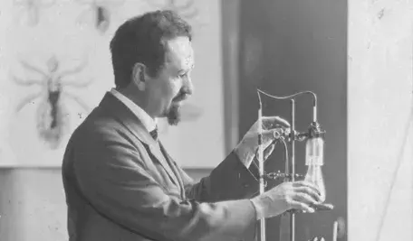 Rudolf Stefan Weigl 