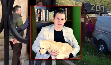 ZOO Łączna komentarz WIDEO