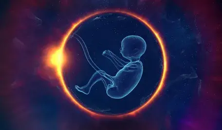 sunriseforever-embryo-7036773_1920