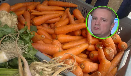 marchew