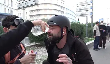 jarząbek we francji