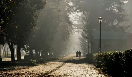 Park