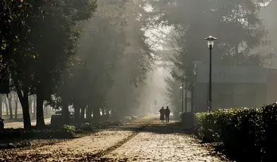 Park
