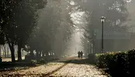 Park