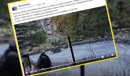 Niedźwiedzica przegoniła turystów ze szlaku (fot. screenshot/Facebook)