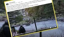 Niedźwiedzica przegoniła turystów ze szlaku (fot. screenshot/Facebook)