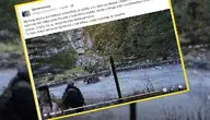 Niedźwiedzica przegoniła turystów ze szlaku (fot. screenshot/Facebook)