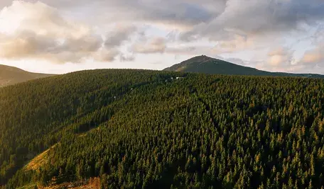 marcinjozwiak-aerial-4540834