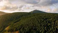 marcinjozwiak-aerial-4540834