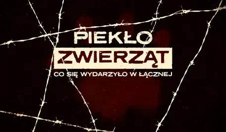 Piekło zwierząt za drutem kolczastym