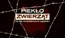 Piekło zwierząt za drutem kolczastym