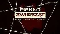Piekło zwierząt za drutem kolczastym