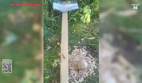 Bobry zniszczyły tabliczkę
