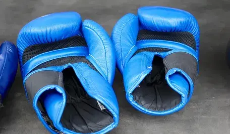 peggy_marco-boxing-1198688_1280