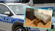 Radiowóz policyjny oraz zdjęcie mężczyzny chowającego się przed funkcjonariuszami pod łózkiem.