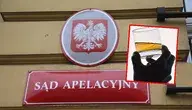 Pijany sędzia wjechał w żywopłot. To doświadczony, 63-letni prawnik 