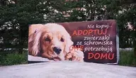 Dla niektórych właścicieli schronisk trzymanie zwierząt to interes. Plakat zachęcający do adopcji