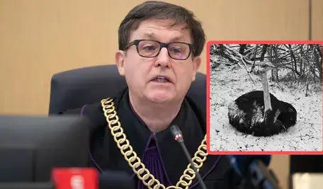 Projekt bez nazwy ok