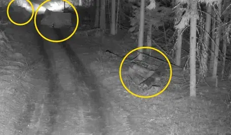 Migranci atakują granicę. Znaleźli nowy sposób Migranci atakują granicę. Znaleźli nowy sposób 