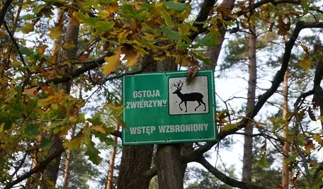 MK2_ostzw_2022_DSC09473