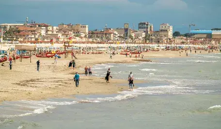 AS_DSC08889_20240918 (1)