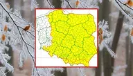Alerty przed przymrozkami ogłoszono w aż 15 województwach