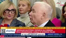 Jarosław Kaczyński udaje dzika