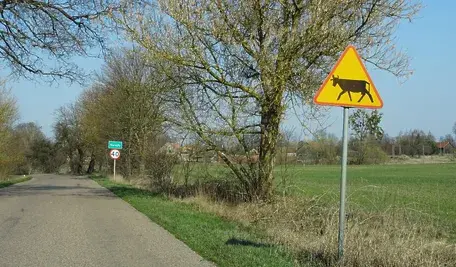 Na europejskie rynki trafi bezcłowo blisko 50 tys. ton wołowiny z Ameryki Południowej, co budzi obawy europejskich producentów żywności