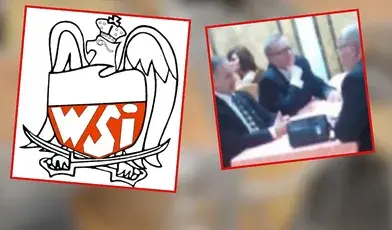 wsi