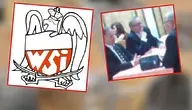 wsi
