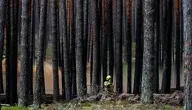  Ponad 200 strażaków wciąż walczy z „ukrytym wrogiem”