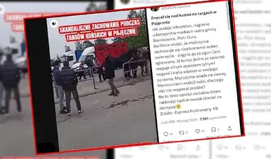 Skandaliczne zachowanie w Pajęcznie. Mężczyzna zaatakował konia, a koń mu odpowiedział solidnym kopnięciem.