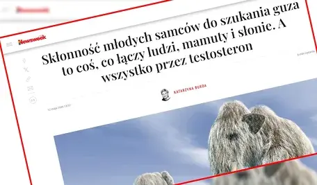 Newsweek znowu atakuje mężczyzn?