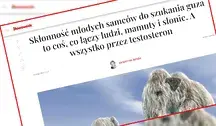 Newsweek znowu atakuje mężczyzn?